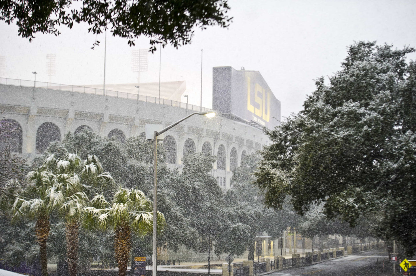 100 Years in Death Valley: How Tiger Stadium Became One of the Most Legendary Venues in American Sports Book