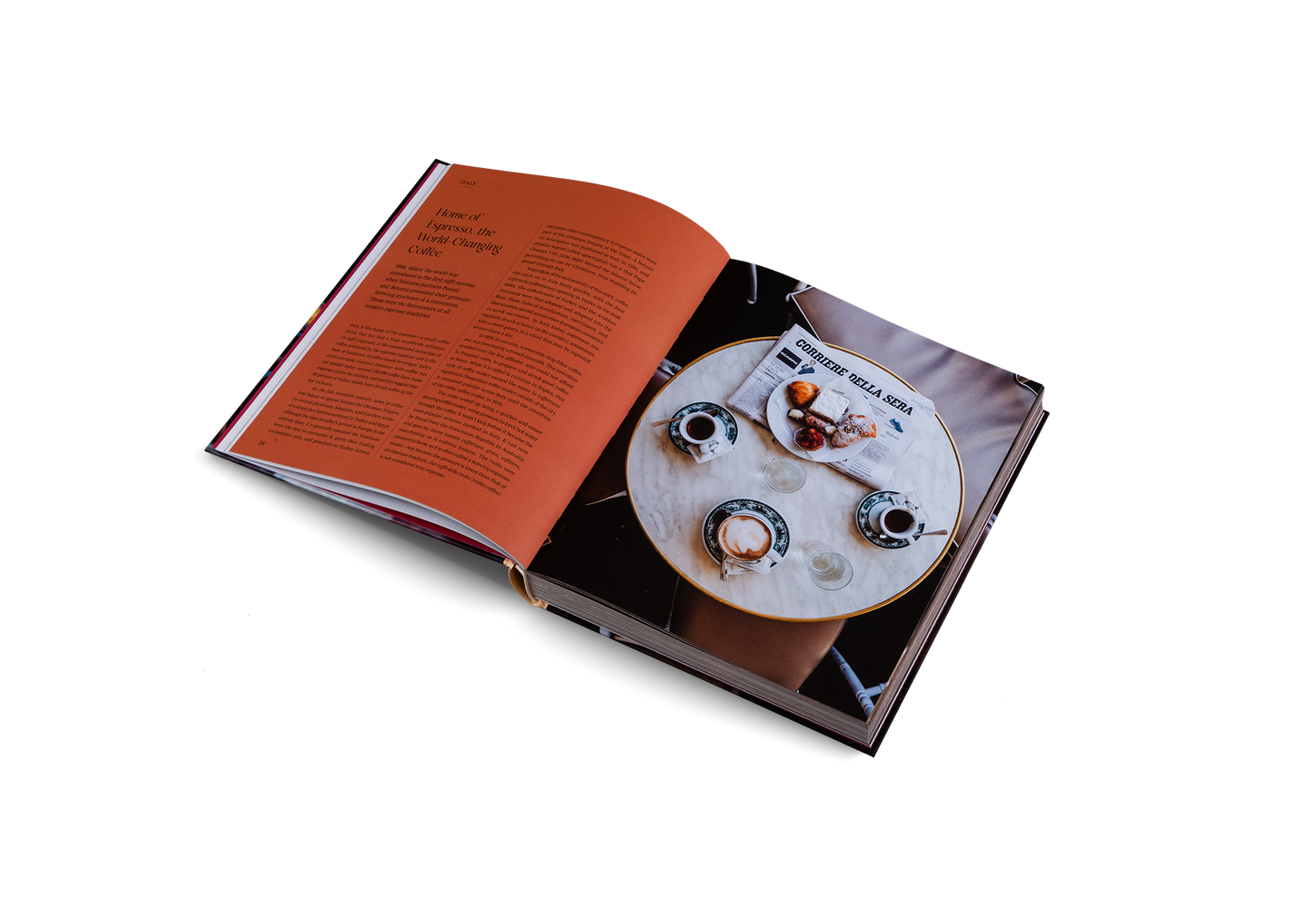 Spill the Beans (Updated Edition) Book
