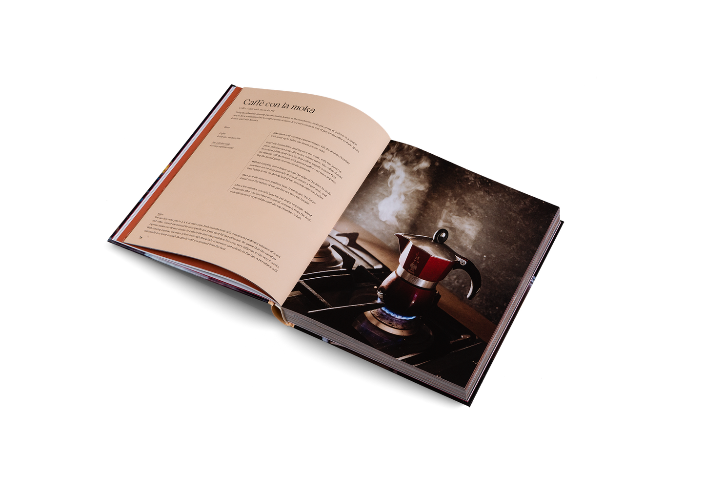 Spill the Beans (Updated Edition) Book