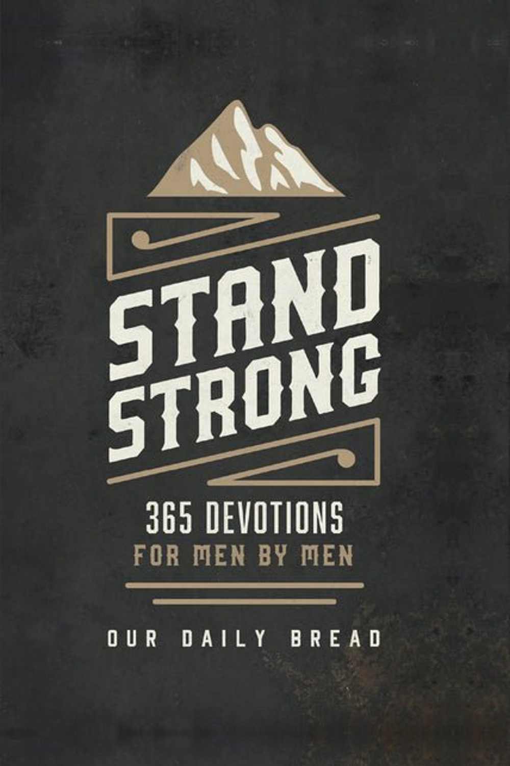 Stand Strong: 365 Devotions for Men by Men Book