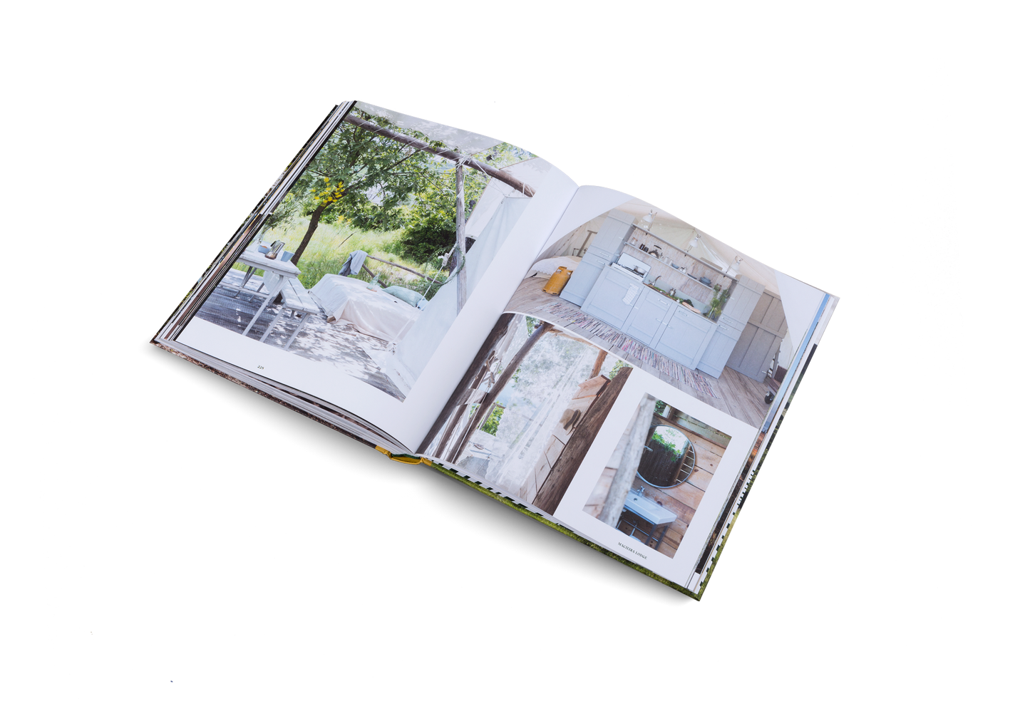 Stay Wild Book