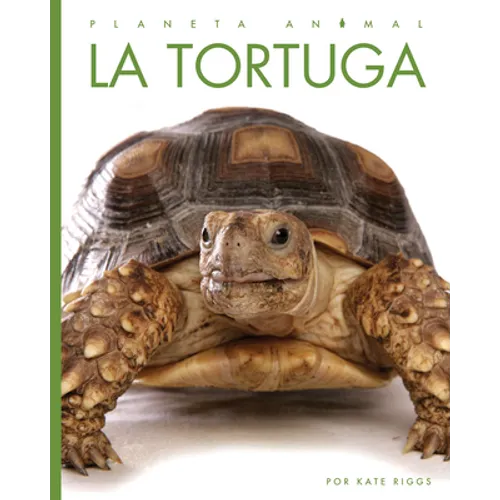 La Tortuga