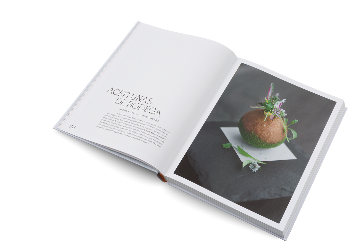 Story on a Plate Book