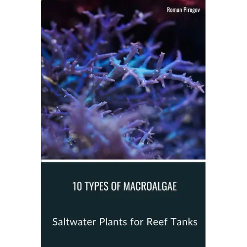 10 Types of Macroalgae: Saltwater Plants for Reef Tanks