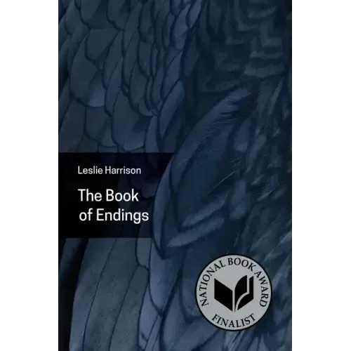 The Book of Endings