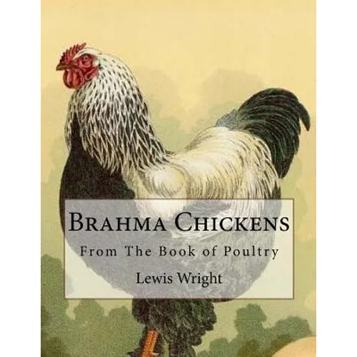 Brahma Chickens: From The Book of Poultry