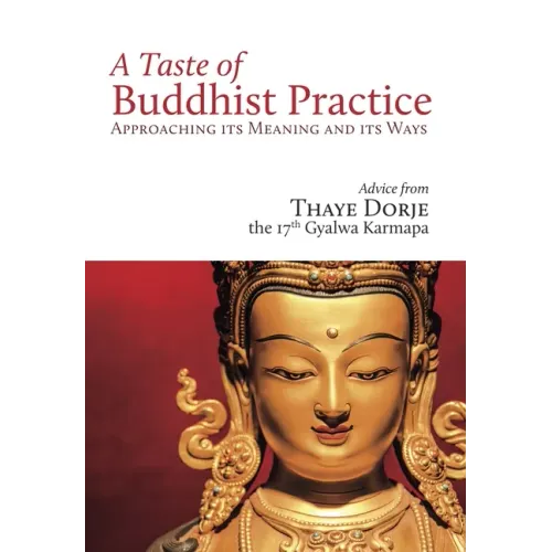 A Taste of Buddhist Practice: Approaching Its Meaning and Its Ways