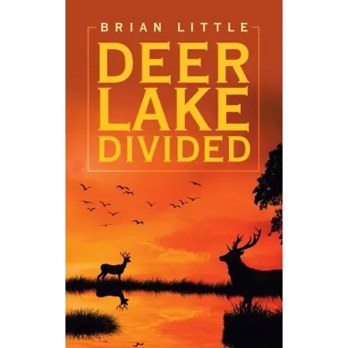 Deer Lake Divided