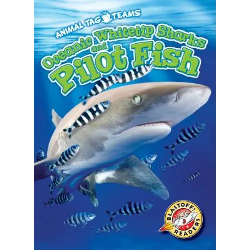 Oceanic Whitetip Sharks and Pilot Fish