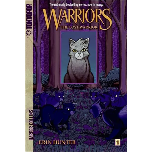 The Lost Warrior