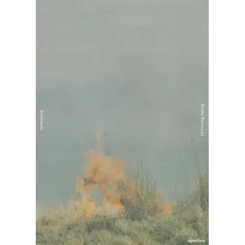 Rinko Kawauchi: Ametsuchi
