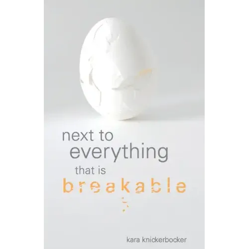 Next to Everything that is Breakable