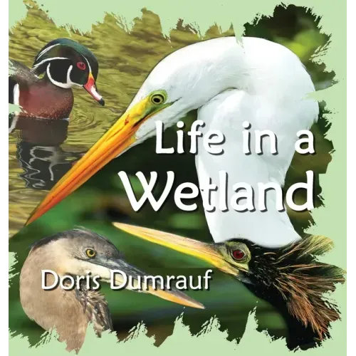 Life In A Wetland
