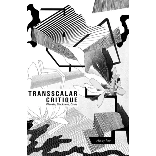 Transscalar Critique: Climate, Blackness, Crisis