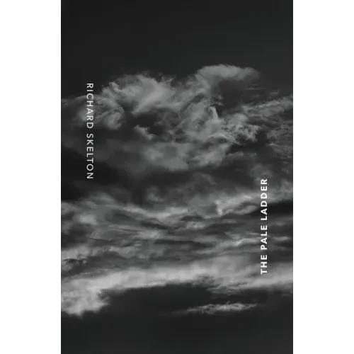 The Pale Ladder: Selected Poems & Texts (2009-2014)