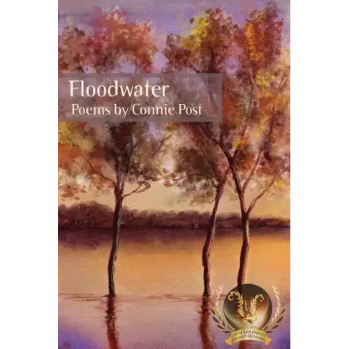Floodwater