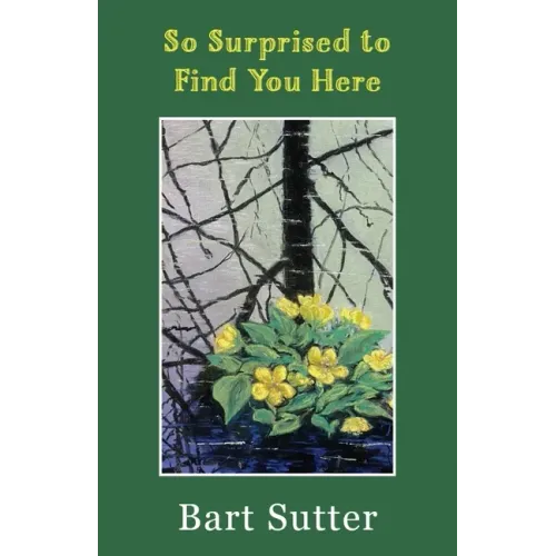 So Surprised to Find You Here: Poems