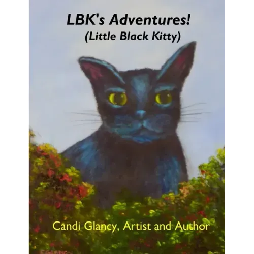 Adventures of LBK (Little Black Kitty)