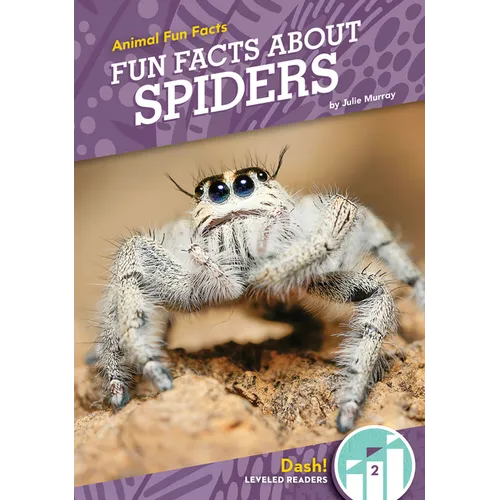 Fun Facts about Spiders