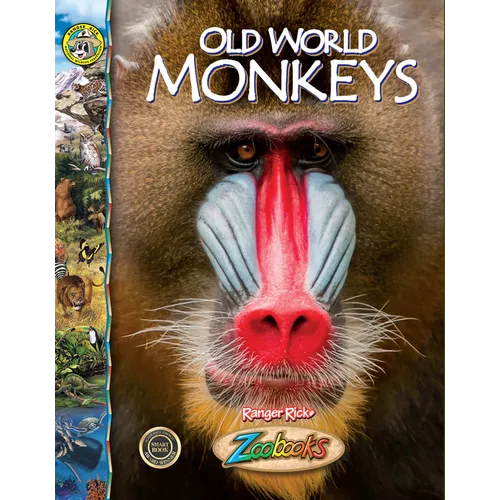 Old World Monkeys - Library Binding