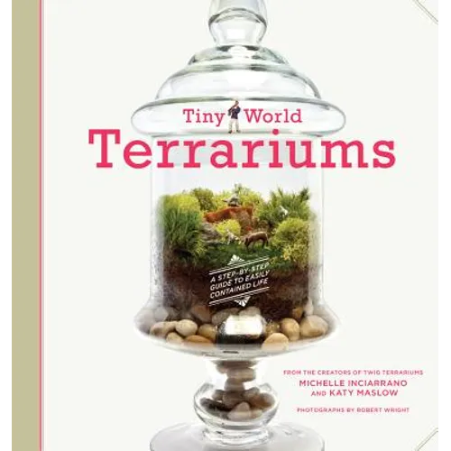 Tiny World Terrariums: A Step-By-Step Guide