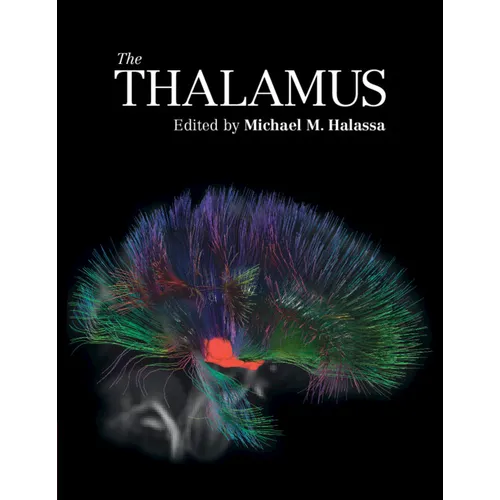 The Thalamus
