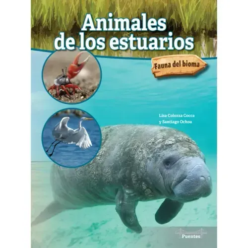 Animales de Los Estuarios: Estuary Animals
