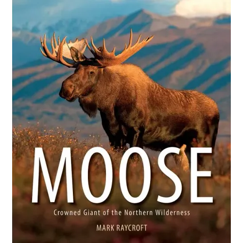 Moose: Crowned Giant of the Northern Wilderness