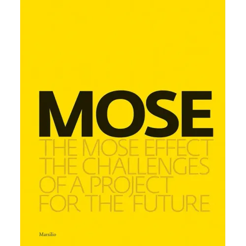 The Mose Effect: The Challenges of a Project for the Future