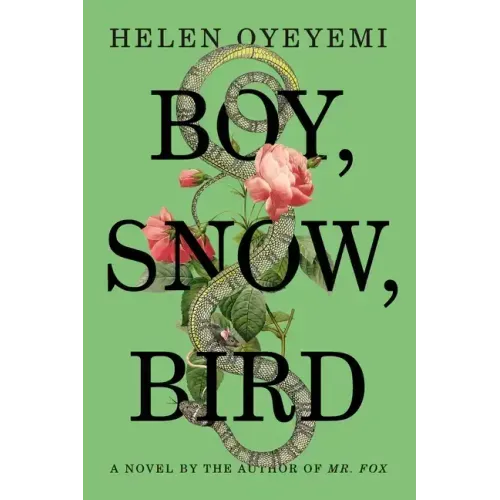 Boy, Snow, Bird
