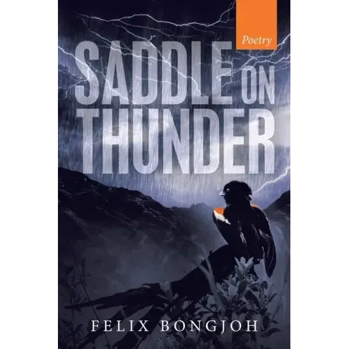 Saddle on Thunder