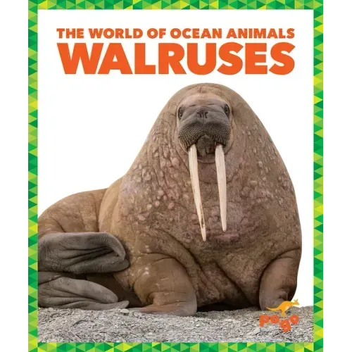 Walruses