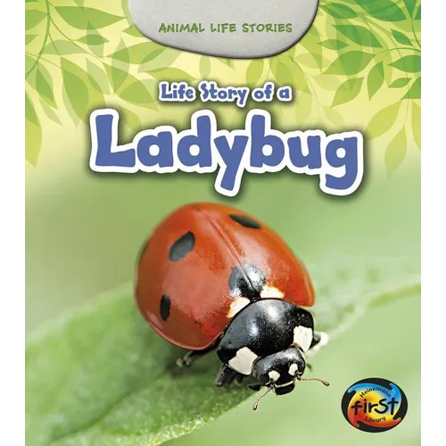 Life Story of a Ladybug