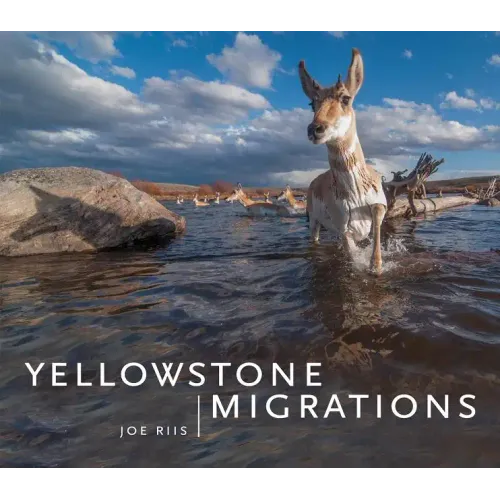 Yellowstone Migrations