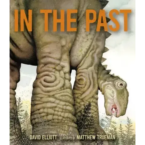 In the Past: From Trilobites to Dinosaurs to Mammoths in More Than 500 Million Years