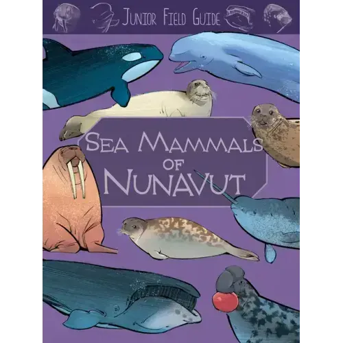 Junior Field Guide: Sea Mammals of Nunavut: English Edition