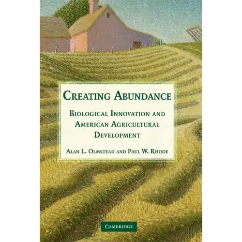 Creating Abundance