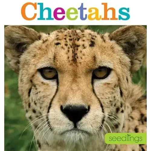 Seedlings: Cheetahs