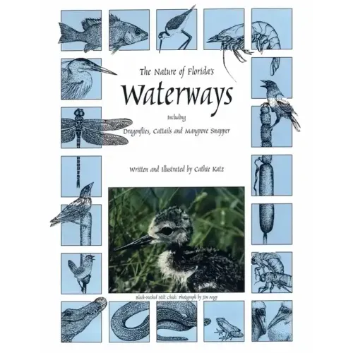The Nature of Florida's Waterways: Including Dragonflies, Cattails, and Mangrove Snapper