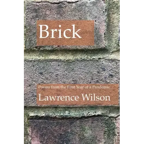 Brick: Poems from the First Year of a Pandemic