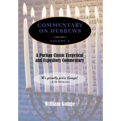 Commentary on Hebrews: Exegetical and Expository - Vol. 2 (PB)
