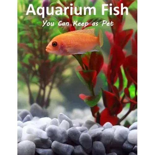 Aquarium Fish You Can Keep As Pets: A List Of Crazy, Exotic Fish To Keep As Pets