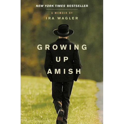 Growing Up Amish: A Memoir