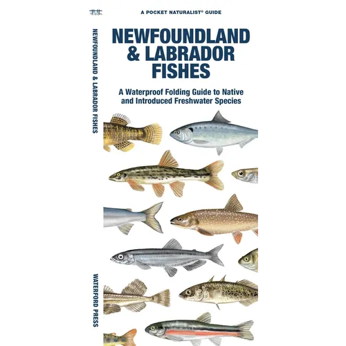 Newfoundland & Labrador Fishes