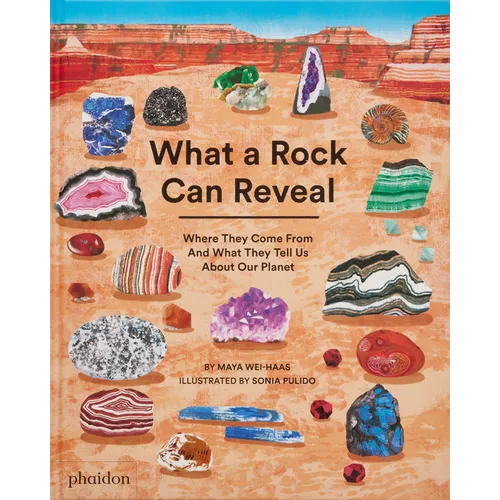What a Rock Can Reveal: Where They Come from and What They Tell Us about Our Planet