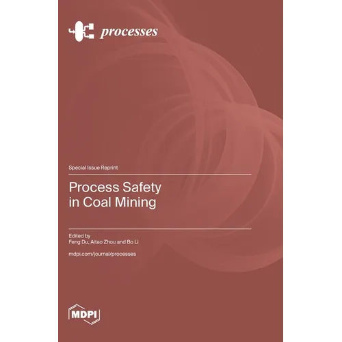 Process Safety in Coal Mining
