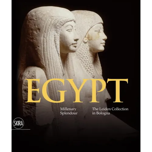 Egypt: Millenary Splendour the Leiden Collection in Bologna