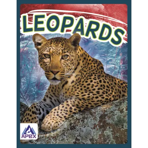 Leopards