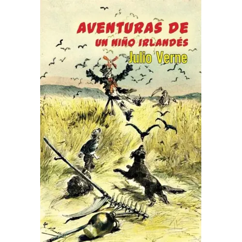 Aventuras de un niño irlandés