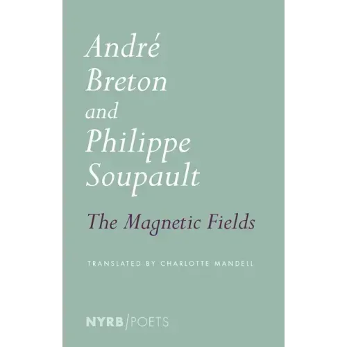 The Magnetic Fields